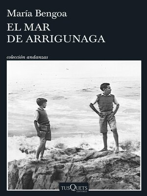cover image of El mar de Arrigunaga
